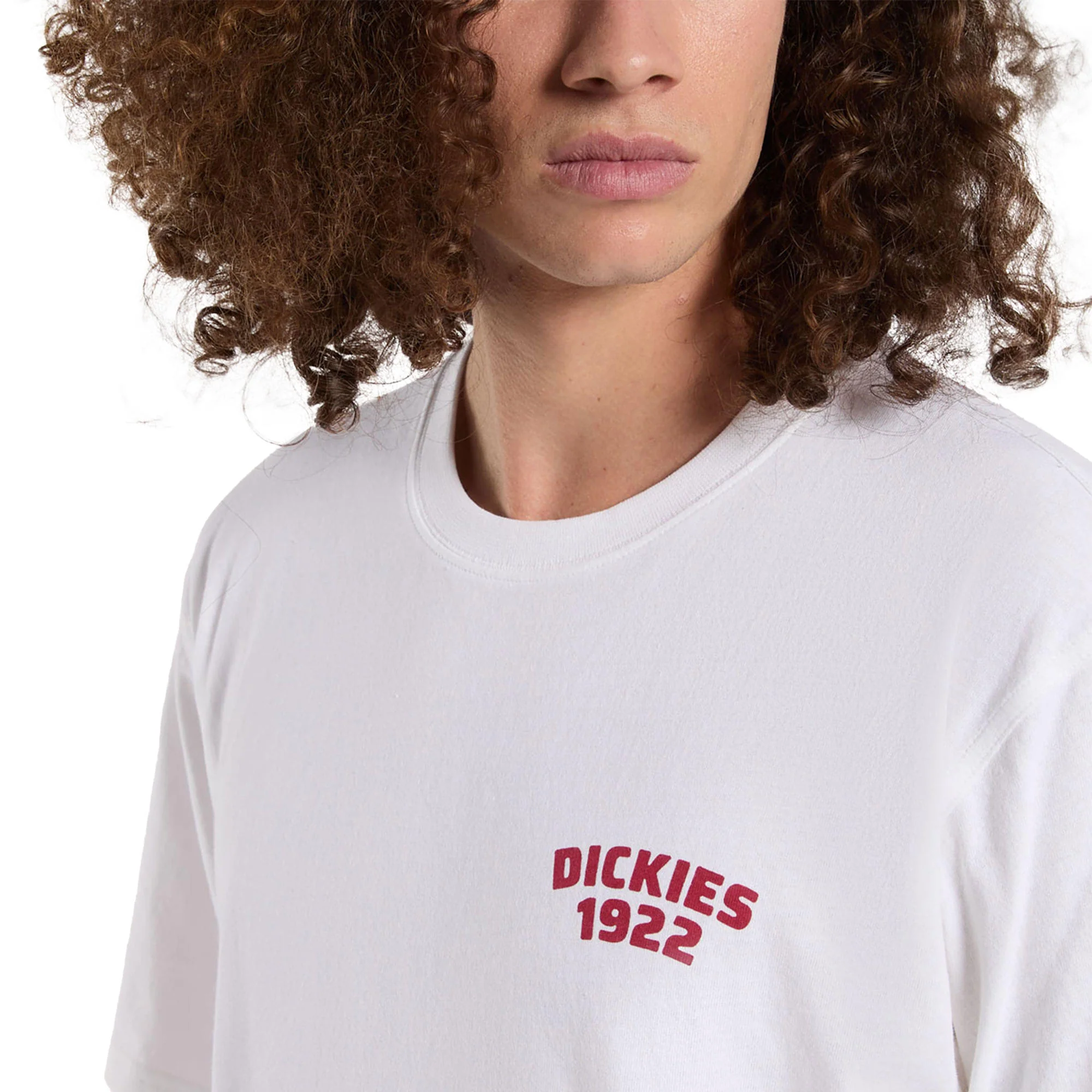 Imagem do produto 3